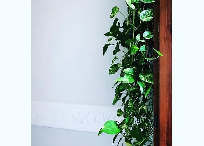 Palazzo Samà Alojamento de Acomodação e Pequeno-almoço