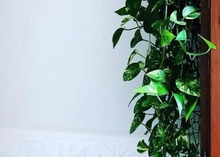 Palazzo Samà Alojamento de Acomodação e Pequeno-almoço