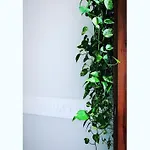 Palazzo Sama Bed & Breakfast