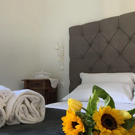 B&B Palazzo Sama 카탄차로